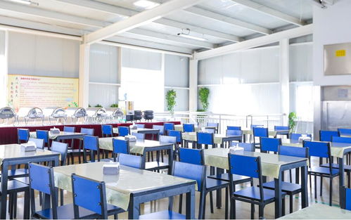 优化食堂管理，花都电子厂携手广州饭堂承包公司提升用餐体验